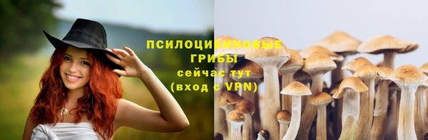 синтетический гашиш Гусев