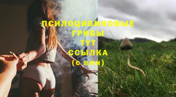 мяу мяу кристалл Гусиноозёрск