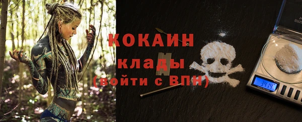 ешки Гусь-Хрустальный